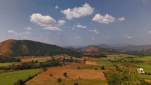 Top-down drone view of agricultural fields between forested hills under bright Stock Footage 307618271