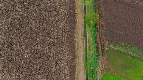 Top Down Drone View of Agricultural Fields with Green and Brown Farmland Stock-Fotos
