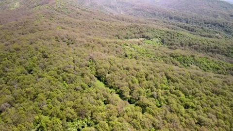 Top Down Drone View of Arslanbob Walnut Forest, Kyrgyzstan Stock Footage 340326058