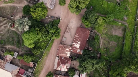 Top-Down Drone View of Batokunku Village with Huts and Trees, Gambia Video stock 317173438