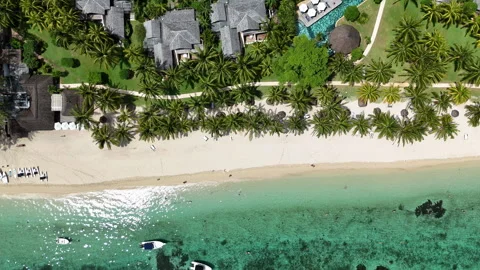 Top-down drone view of beach with palm trees and crystal-clear sea Stock Footage 314507587