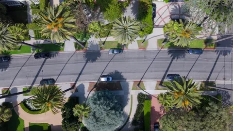 Top-Down Drone View of Beverly Hills Street with Palm Trees and Cars 스톡 동영상 309746993