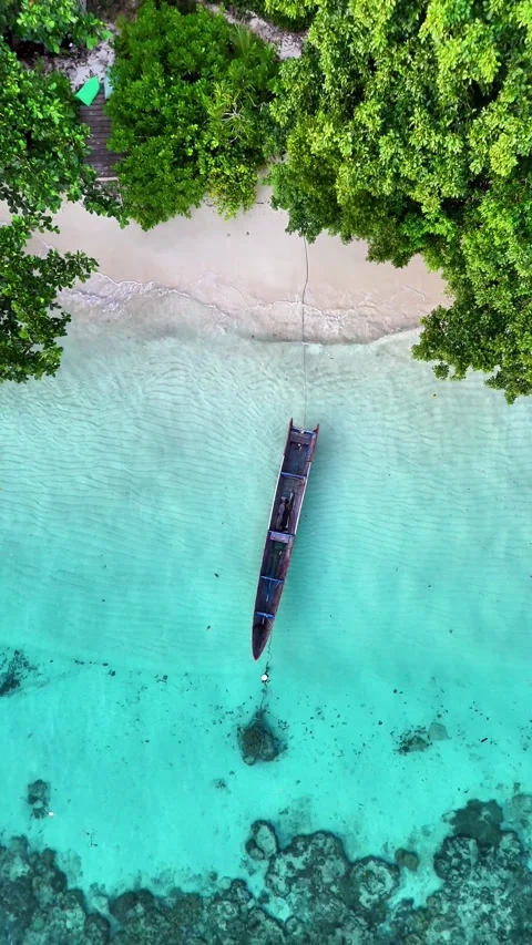 Top-Down Drone View of Boat and Tropical Shoreline, Waisai Island, Indonesia Stock Footage 278541293