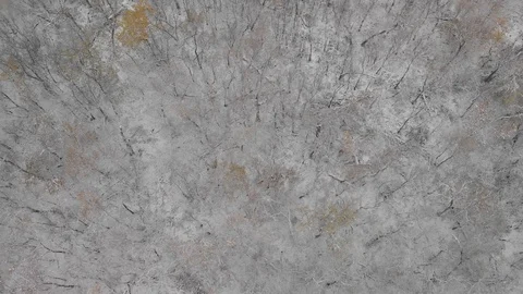 Top down drone view of a bright orange colored autumn forest after a snowfall Stock Footage 117565898