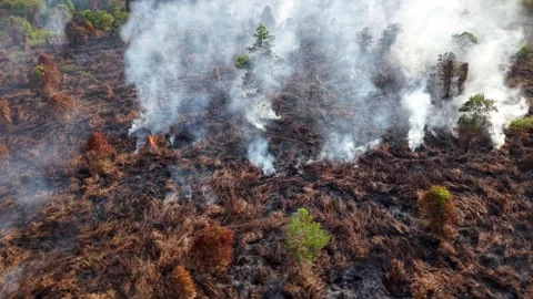 Top-down drone view of a burning peatland with visible smoke plumes Stockbeeldmateriaal 333050752