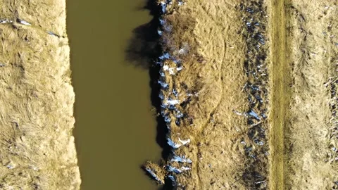Top down drone view, camera flying over dirty Olt river Stock Footage 149927505