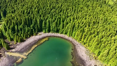 Top Down Drone View Of Canario Lagoon Encircled By Dense Forest In Sao Miguel Видео 338051496