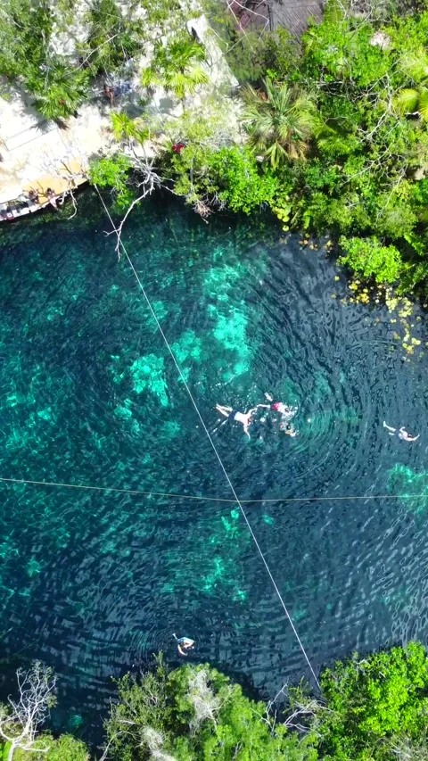 Top down drone view of cenote Stock Footage 341378495