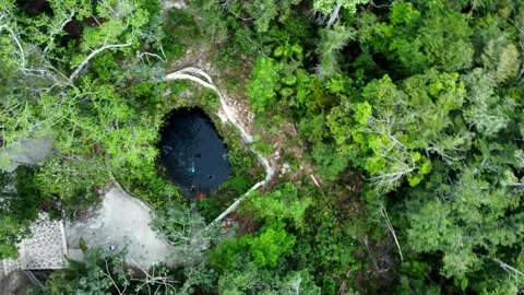 Top-down drone view centers a cenote within tropical forest Stock Footage 341394733