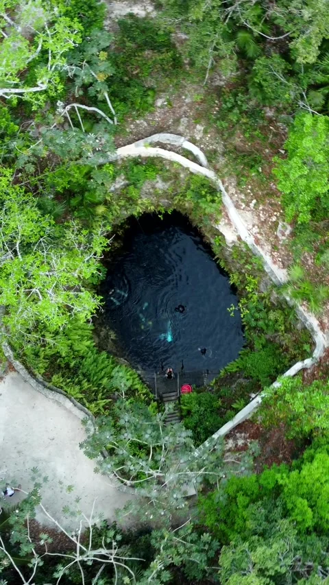 Top-down drone view circles a cenote enclosed by dense forest Stock Footage 341395870