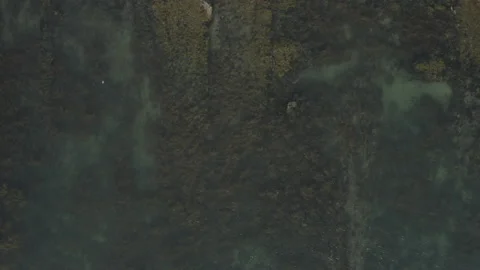 Top down drone view of a clear water reef in Spain 4K Stock Footage 137707010
