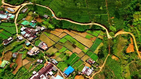 Top-down drone view of colorful patchwork vegetable plots and village houses in 스톡 동영상 325057808