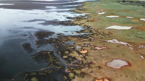 Top down drone view of colorful Icelandic coastal wetlands 4K Stock-Footage 344112398