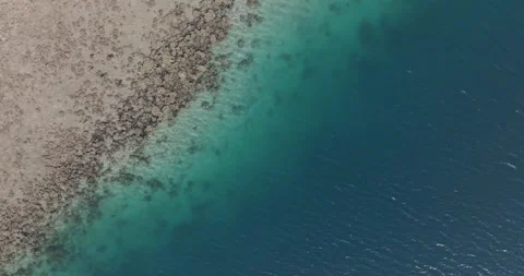 Top-down drone view of coral reef meeting deep blue ocean in West Bali National 스톡 동영상 331105870