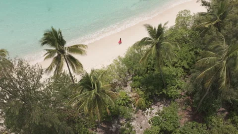Top Down Drone View Crystal Clear Sea at Oyama Beach Banggai D Log M LOG Format Stock Footage 316163975