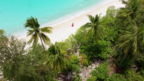 Top Down Drone View Crystal Clear Sea at Oyama Beach Color Graded Stock Footage 316826281
