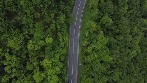 Top Down Drone View of Curved Road Through Dense Green Forest Stockbeeldmateriaal 330953233