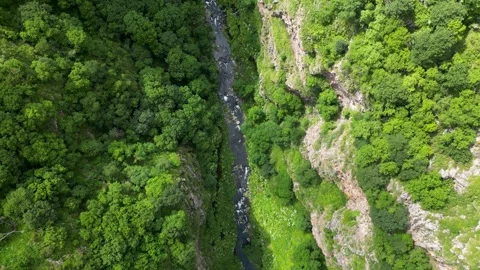 Top Down Drone View of Dashbashi Canyon River Stock Footage 339673550