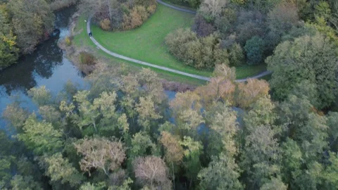Top-Down Drone View of Dense Autumn Forest Stock Footage 321639106