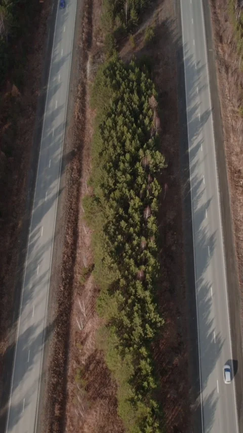 Top down drone view of divided highway across pine forest in Ural Russia Stock Footage 346559033