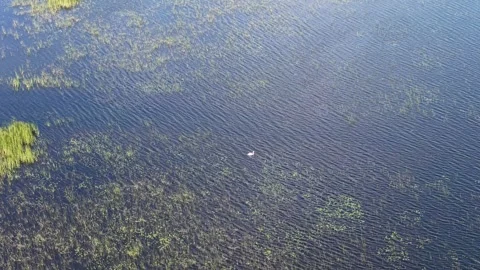 Top down drone view drifts over rippled shallow water patterned with submerged Stock Footage 343801770