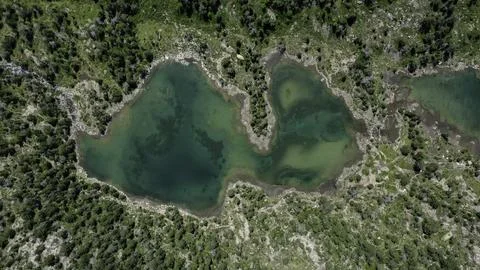 Top Down Drone View of Emerald Green Lake with Natural Shoreline Stock Photos