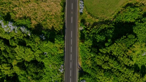 Top Down Drone View of Empty Road Through Lush Green Forest on Flores Island Vidéo 335246632