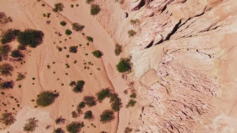 Top Down Drone View of Eroded Desert in Los Colorados Argentina Stock Footage 332229637