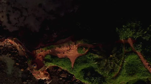 Top down drone view flying above Parrot Rock Island in Mirissa Stock-Footage 316751080