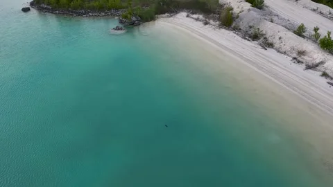 Top down drone view follows turquoise water meeting a smooth pale sand and Stock Footage 344009403
