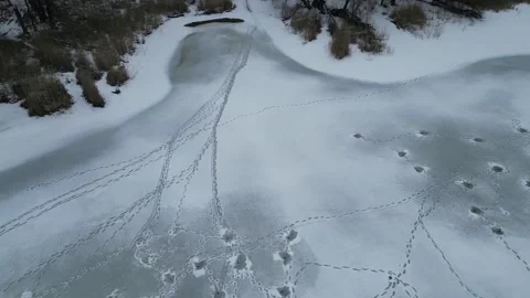 Top down drone view of footprint trails and holes on frozen river ice Stock-Footage 348170897