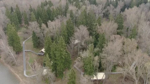 Top down drone view of forest glamping Vidéo 329742260