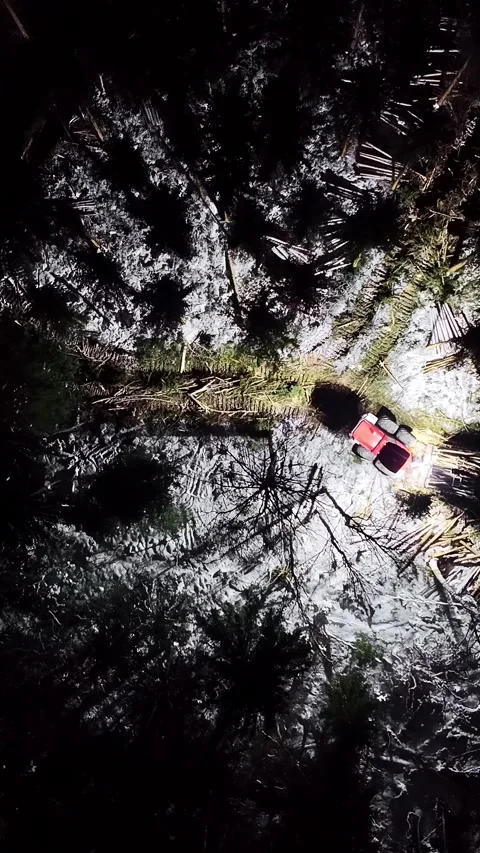 Top down drone view of forestry logging road highlighting deforestation and Stock Footage 341385664