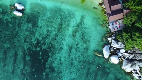 Top Down Drone View of Freedom Beach with Swimmers Koh Tao Vídeo Stock 331867236