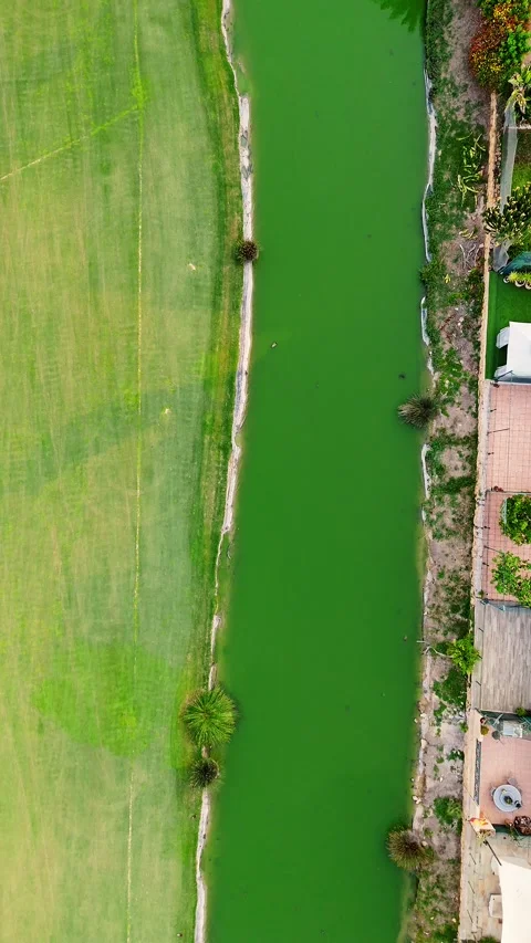 Top-down drone view of golf course pond and green landscape Stock Footage 311064668