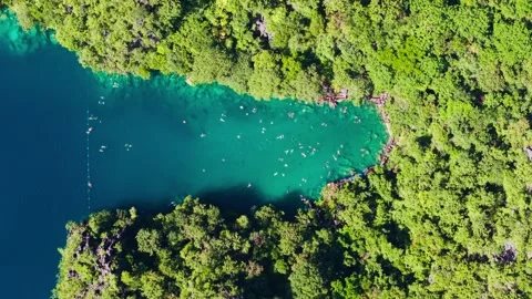 Top down drone view Kayangan Lake Coron Palawan Philippines swimmers tourism Vídeo Stock 331117148