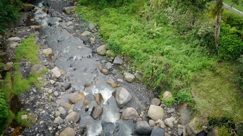 Top-down drone view of mountain stream winding through rocks and greenery Stock Footage 316792433