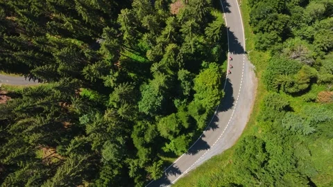 Top-down drone view near Sattelegg Pass in Canton Schwyz, Switzerland, showing Stock Footage 345286292