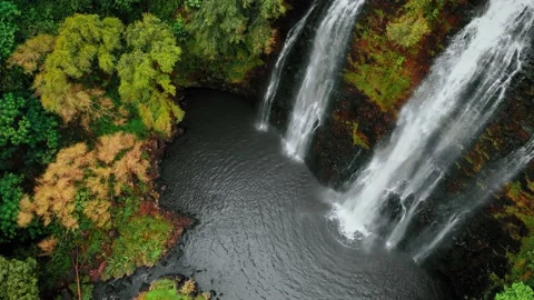 Top-down drone view of a Opaekaa waterfall and autumn forest in Kauai, Hawaii Video stock 136417946