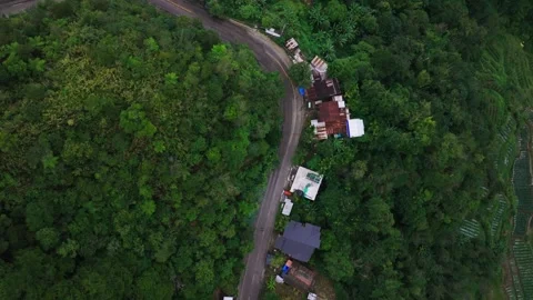 Top Down Drone View Over Forest Road, Hingyon Ifugao Philippines Evening 動画素材 334095436