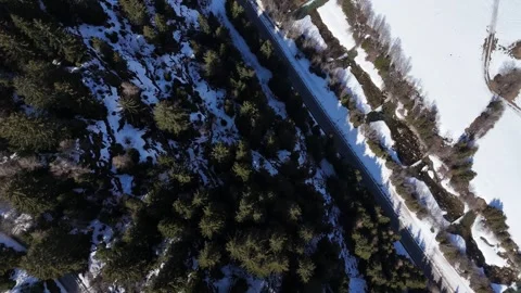 Top-Down Drone View Over Snowy Ground and Pine Forest with Mountain Path Vídeo Stock 336941394