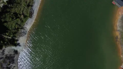Top Down Drone View of Peaceful Lake Shoreline with Sunlight Reflections Video stock 345101160