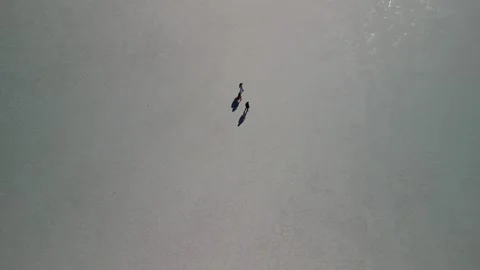Top-Down Drone View of People on Salt Flats, Great Salt Lake 스톡 동영상 348414170