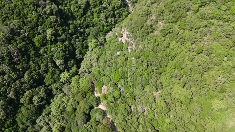 Top Down Drone View of Polylimnio Forest Canyon and Waterfall in Greece Stock-Footage 334899143