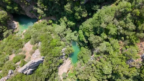 Top Down Drone View of Polylimnio Pools in Forest Stock-Footage 334900096
