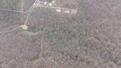 Top down drone view of road crossing wooded landscape Stock-Footage 332773455
