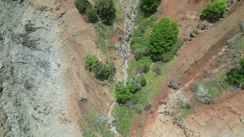 Top down drone view of a rocky ravine with green trees in Hawaii Stock-Footage 348263777