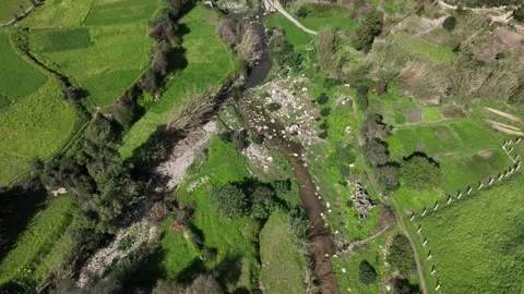Top Down Drone View of Rural Stream and Green Farmland in Rif Mountains 库存影片 348390463