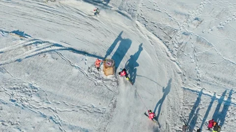 Top Down Drone View Shows Skijoring Racers Navigating Snowy Track, Adazi Latvia Stock Footage 346059934