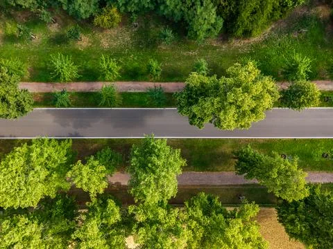 Top-down drone view shows curved asphalt road through green parkland, frame.. Stock Photos
